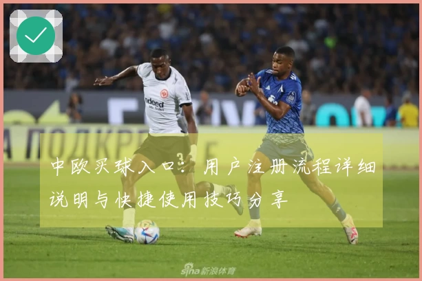 中欧买球入口：用户注册流程详细说明与快捷使用技巧分享