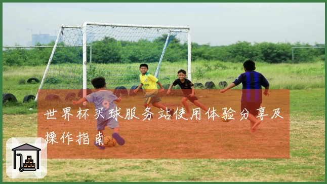 世界杯买球服务站使用体验分享及操作指南