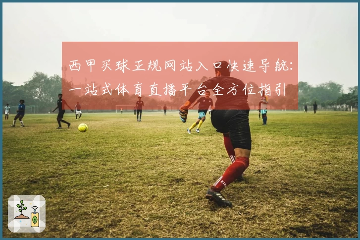 西甲买球正规网站入口快速导航：一站式体育直播平台全方位指引