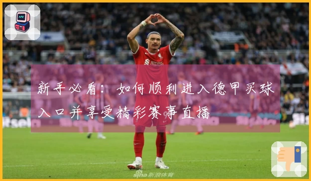 新手必看：如何顺利进入德甲买球入口并享受精彩赛事直播