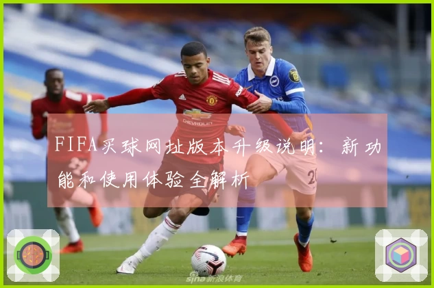 FIFA买球网址版本升级说明：新功能和使用体验全解析
